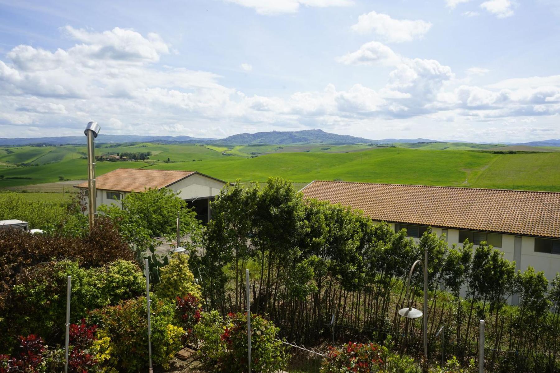 Agriturismo Signorini Orciatico Exterior photo