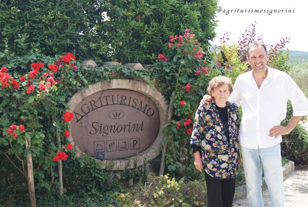 Agriturismo Signorini Orciatico Exterior photo
