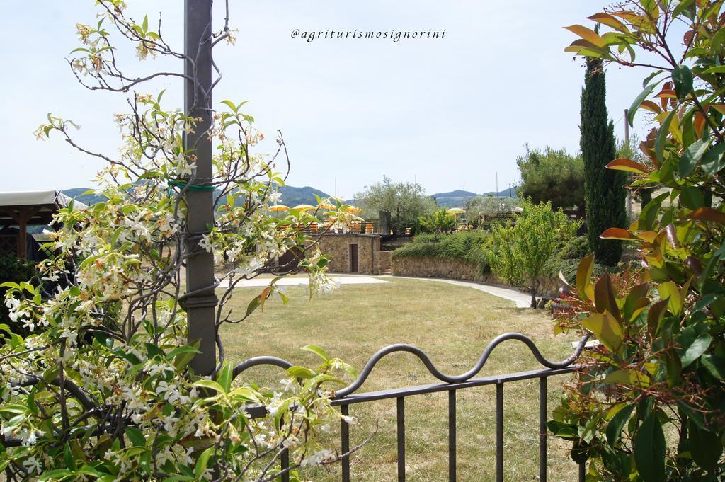 Agriturismo Signorini Orciatico Exterior photo