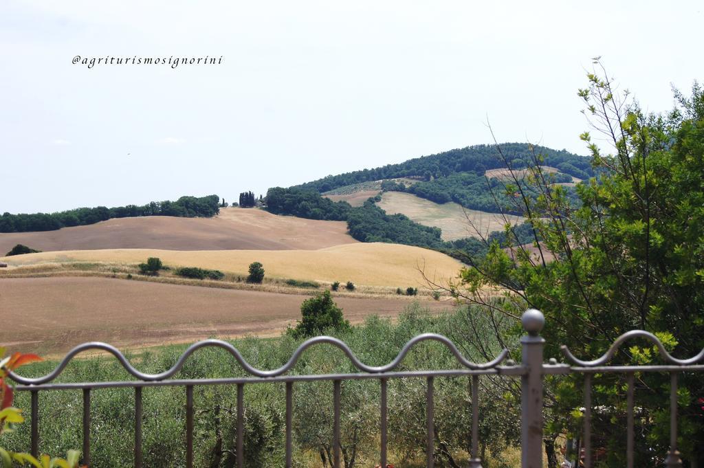 Agriturismo Signorini Orciatico Exterior photo