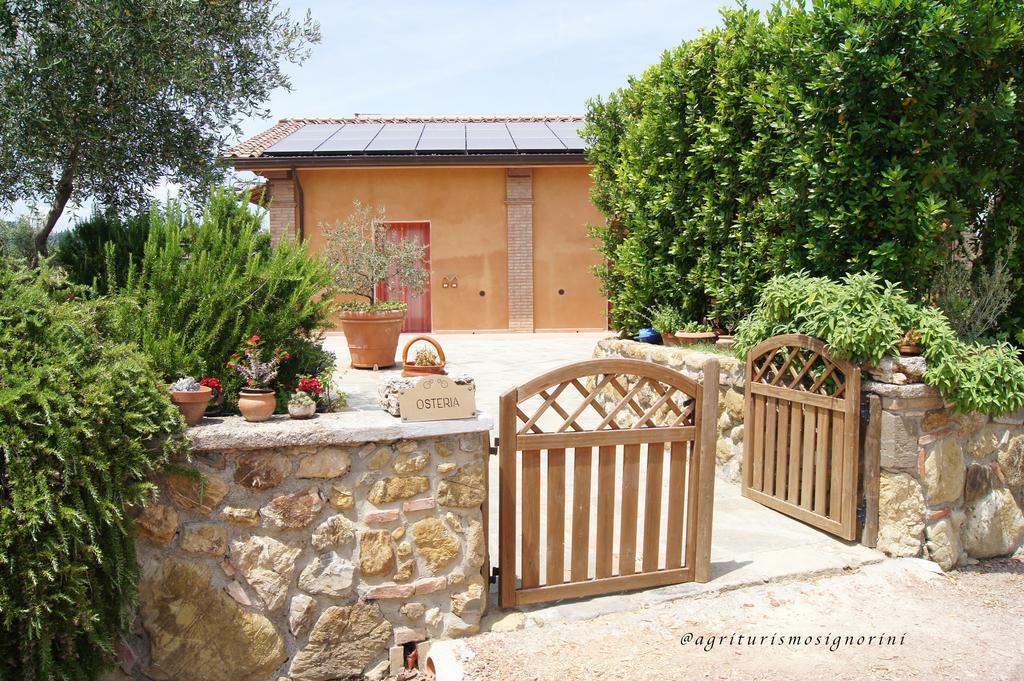 Agriturismo Signorini Orciatico Exterior photo