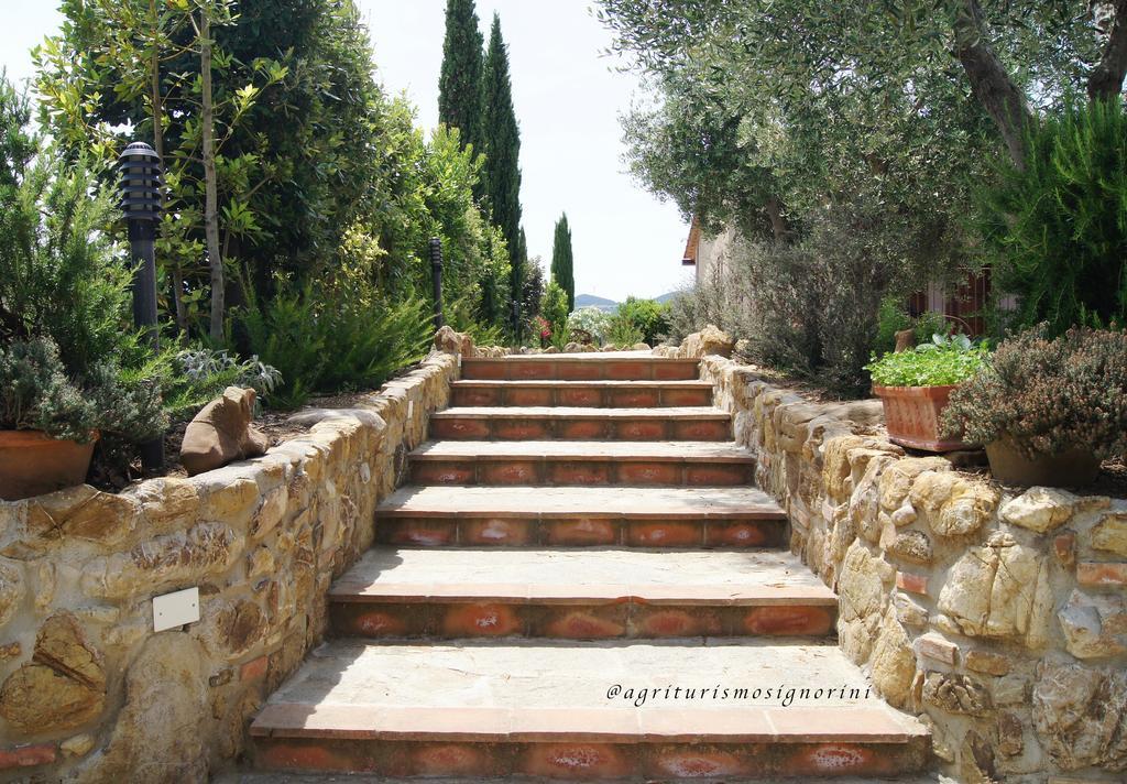Agriturismo Signorini Orciatico Exterior photo