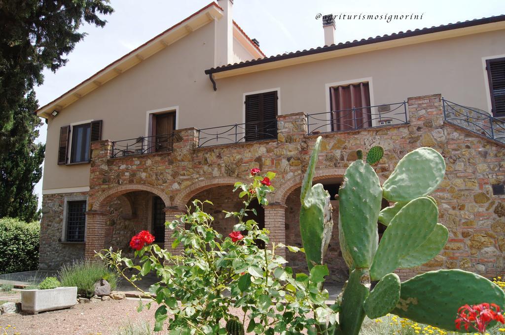 Agriturismo Signorini Orciatico Exterior photo