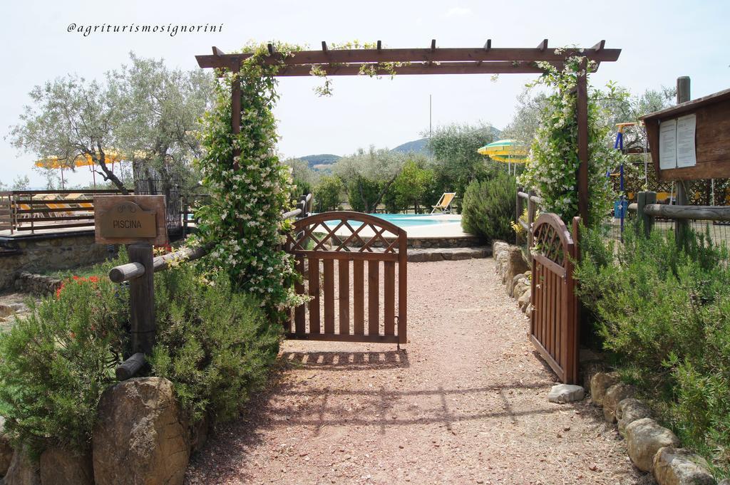 Agriturismo Signorini Orciatico Exterior photo