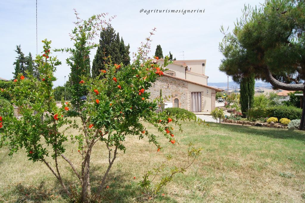 Agriturismo Signorini Orciatico Exterior photo
