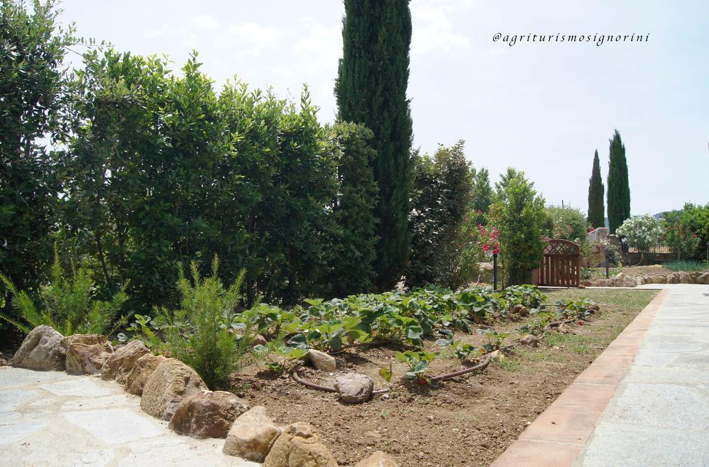 Agriturismo Signorini Orciatico Exterior photo